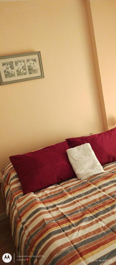 Acogedor Monoambiente Con Parking Apartment Neuquen Luaran gambar